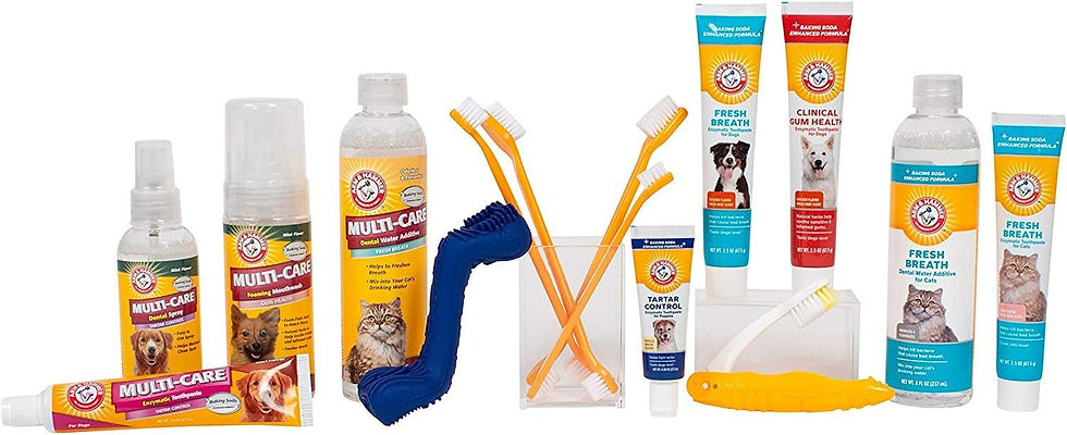 Thumbnail: Arm & Hammer for Pets Tartar Control Kit for Dogs | Contains Toothpaste, Toothb