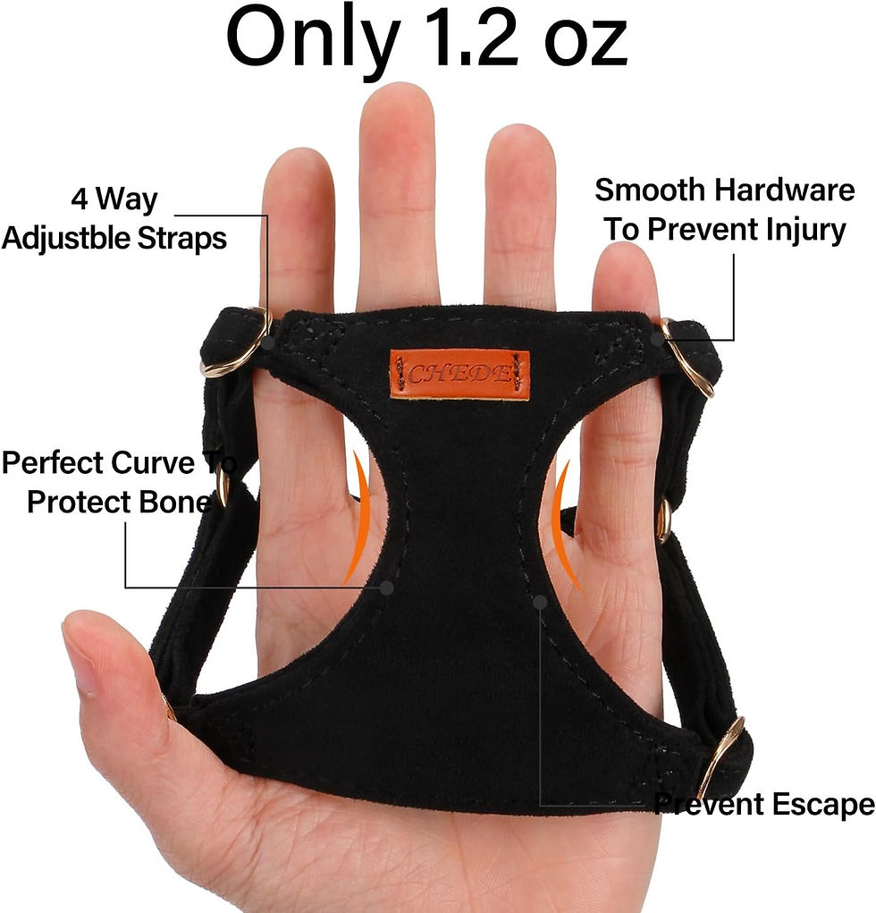 Thumbnail: No Pull Dog Harness- Lightweight, Soft, Adjustable Small Harness Collar and Lea