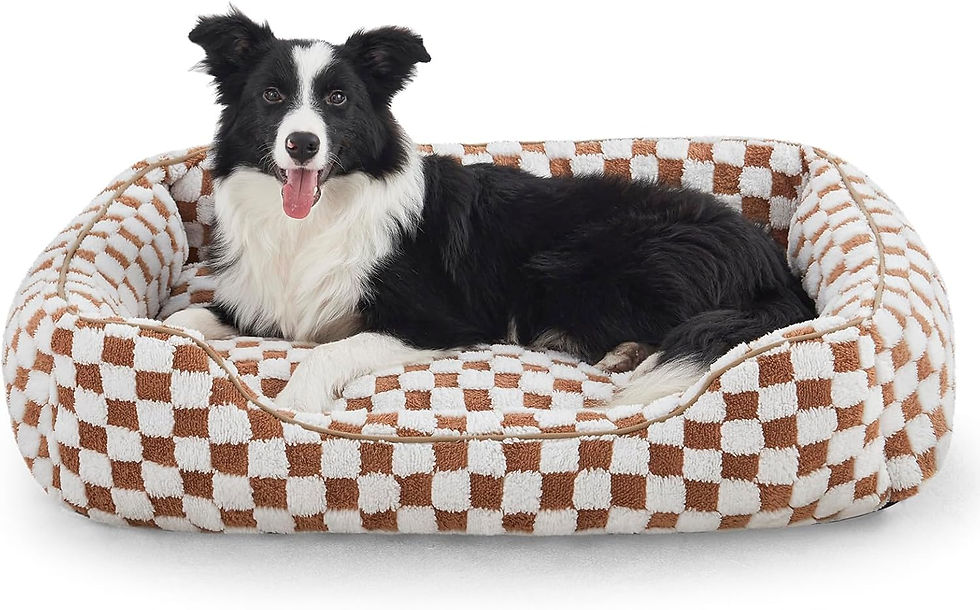 Thumbnail: JOEJOY Dog Beds for Small Dogs -Cute Cat Beds for Indoor Cats Calming Pet Beds,