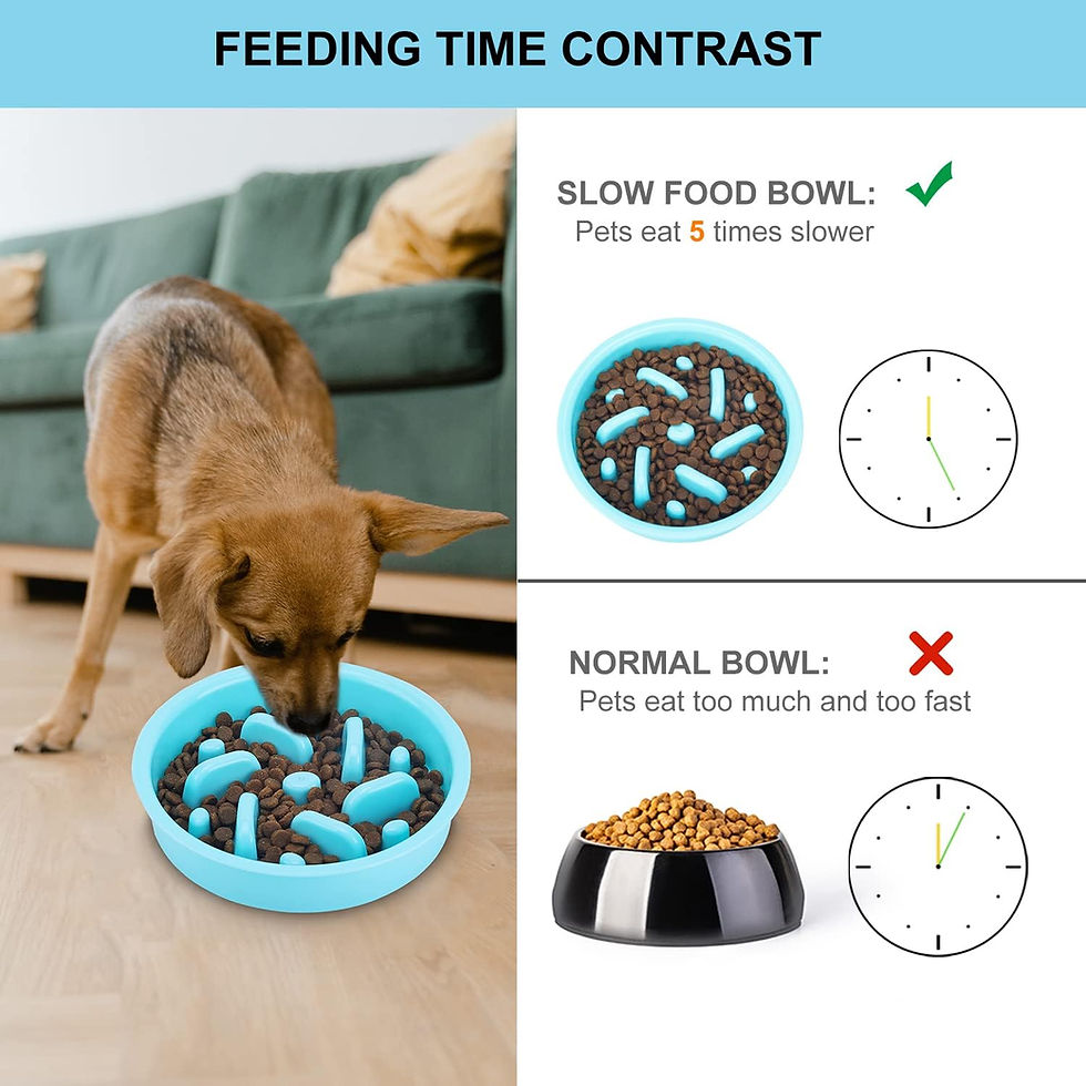 Thumbnail: Slow Feeder Dog Bowls 3 in 1 Stainless Steel Food and Water Bowls with Non-Spil