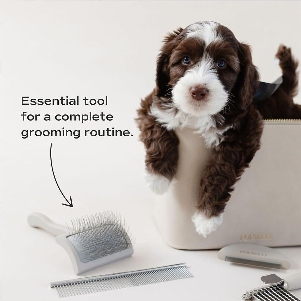Thumbnail: Slicker Brush for Professional and Luxury Dog Grooming to Prevent Matting with 