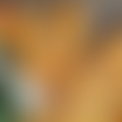 Spring 2025 Trends in Beauty Fashion and Wellness What to Embrace and What to Let Go