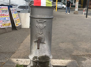 Photo 6 (Karri).jpeg