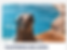 Thumbnail: 7/25 Foxwoods or Mystic Aquarium and shops