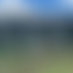 Weeding using sheep at the Pacifico Energy Furukawa Mega Solar Power Plant