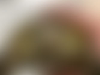 リクガメの嘴過長に対する嘴トリミング