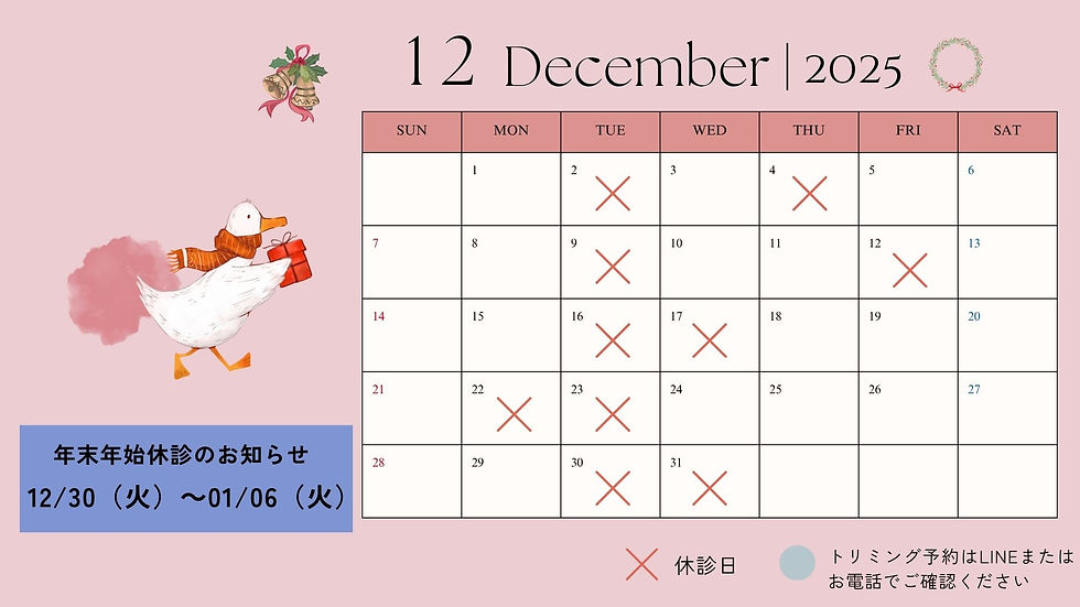 2024カレンダー (12)