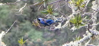 WhatsApp Image 2021-08-25 at 4.47.35 PM.jpeg