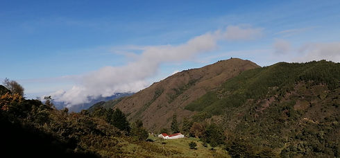 WhatsApp Image 2021-09-13 at 9.50.35 PM (3).jpeg