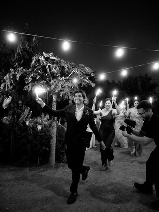 wedding entrance