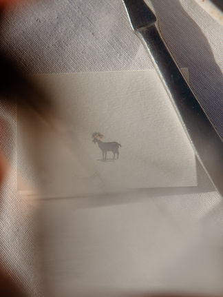 wedding details