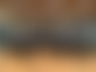 AUFTRITT AN DER GEMEINDERATS-KONSTITUIERUNG