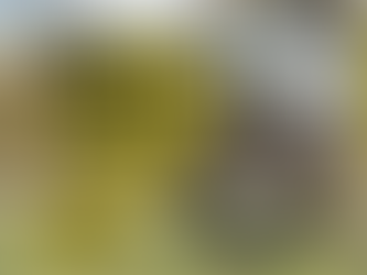 Free Community Yoga - October 4th at Keith House!