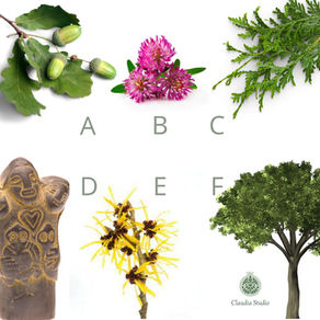 【每月運勢】2023 11月能量指引