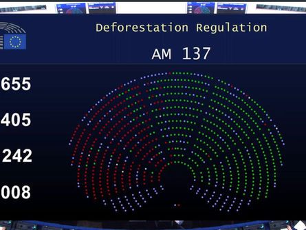Deforestation Law Round-Up: 400+ Lawmakers Endorse EUDR Postponement and Compliance Relief