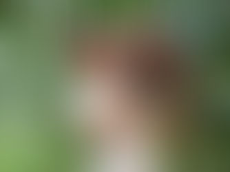 Transformar os próximos 20 anos: como a Agricultura Inclusiva 4.0 pode capacitar os pequenos produtores responsáveis por 85% do fornecimento global de óleo de palma