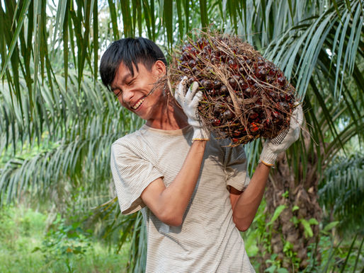 Transforming the Next 20 Years: How Inclusive Agriculture 4.0 Can Empower the Smallholders Producers Behind 85% of Global Palm Oil Supply