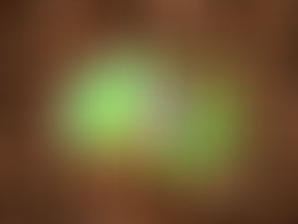 Météo, droits de douane et rendements agricoles : le triple risque auquel est confrontée la filière café au Brésil