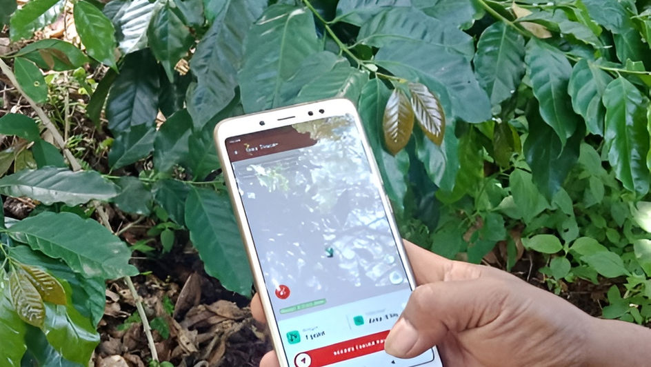 Polygon Quality Matters: Why Geolocation Accuracy Will Define EUDR-Ready Coffee Procurement