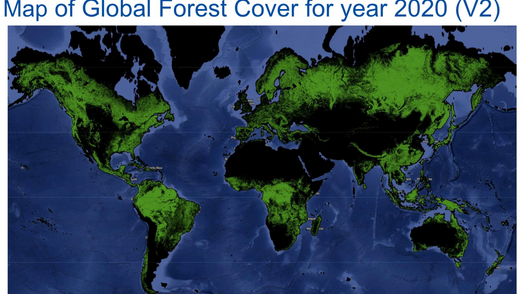 แผนที่ Global Forest Cover Map V2 (เวอร์ชันปี 2020) ของ JRC – Koltiva.com