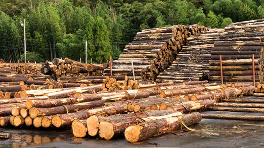Les exportations chinoises de bois à 7,1 milliards d’euros et de caoutchouc à 4,01 milliards d’euros : la traçabilité des produits agricoles devient incontournable