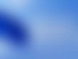 Insight da KOLTIVA sobre: Planos da UE para Adiar a Implementação da EUDR, O Que Isso Significa para as Cadeias de Suprimentos Globais - Koltiva.com