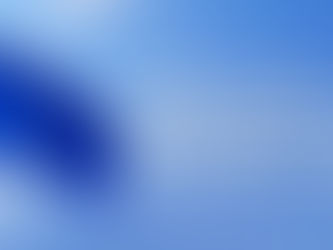 KOLTIVA insight on: EU Plans to Delay EUDR Implementation, What It Means for Global Supply Chains - Koltiva.com