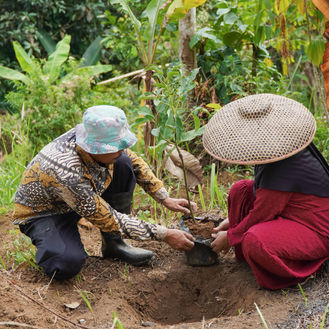 Scaling Agroforestry Services Across Indonesia’s Conservation-Priority Agricultural Landscapes