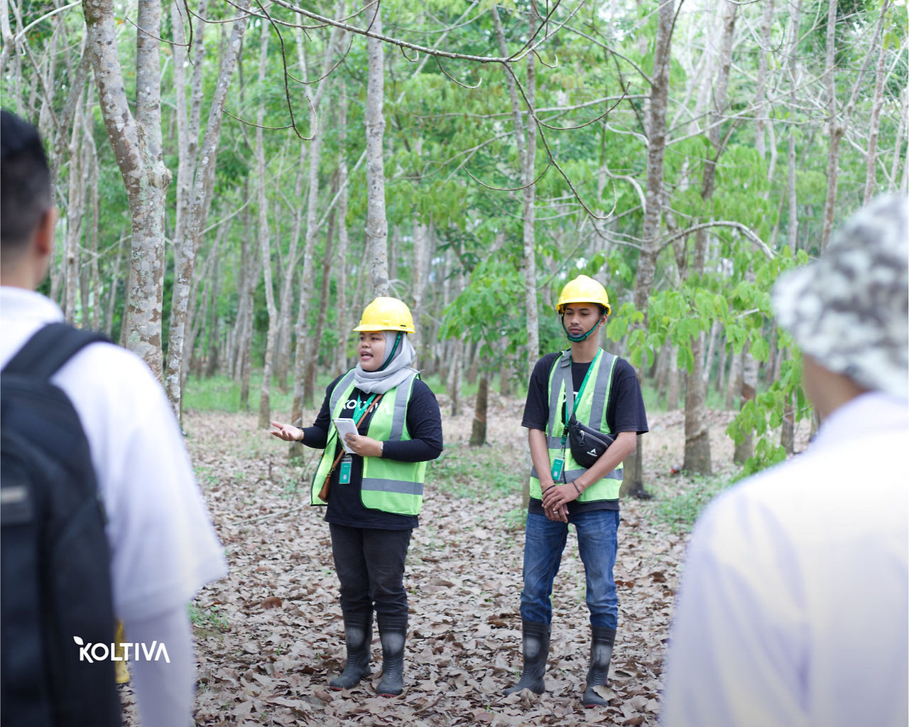 KOLTIVA's Role in GPSNR's Project with Goodyear, General Motors, and Kirana Megatara - Koltiva.com