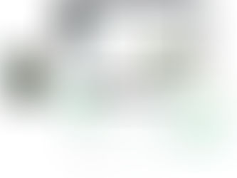 Build In-House or Partner? Making the Right Traceability Decision in an Era of EUDR, CSRD, and CSDDD