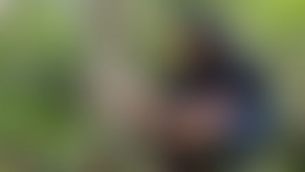 Installation of camera traps to monitor wildlife associated with Non-Timber Forest Products in the Amazon region - Koltiva.com