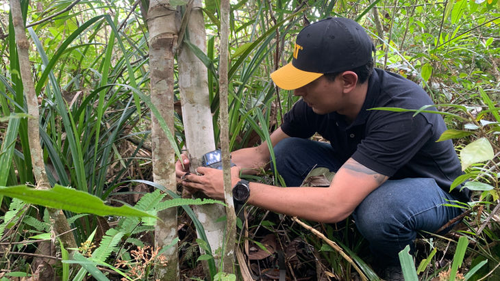 Installation of camera traps to monitor wildlife associated with Non-Timber Forest Products in the Amazon region - Koltiva.com