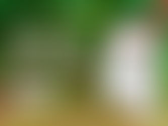 Advancing Global Coffee Sustainability by Empowering 475,000 Producers Worldwide