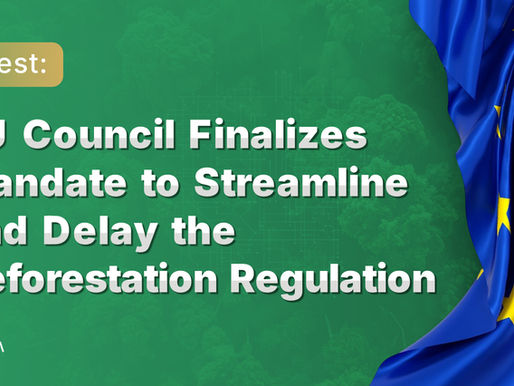 Último: Conselho da UE Finaliza Mandato para Simplificar e Adiar a Regulamentação sobre Desmatamento