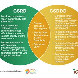 How CSDDD and CSRD Shaping Corporate Responsibility  