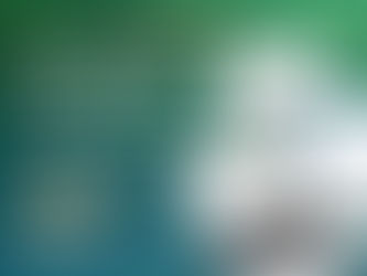 Koltiva promove rastreabilidade interoperável com IFT, fortalecendo cadeias de suprimentos