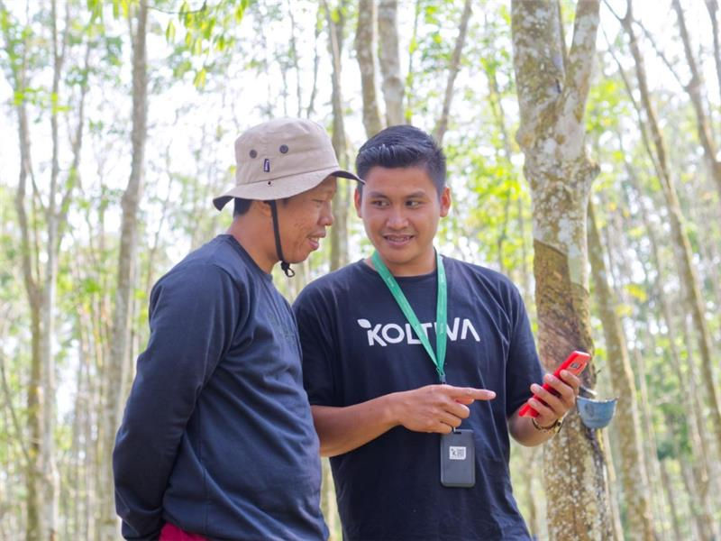A Koltiva field agent supporting producers with on-site data validation to strengthen supply chain compliance. - Koltiva.com