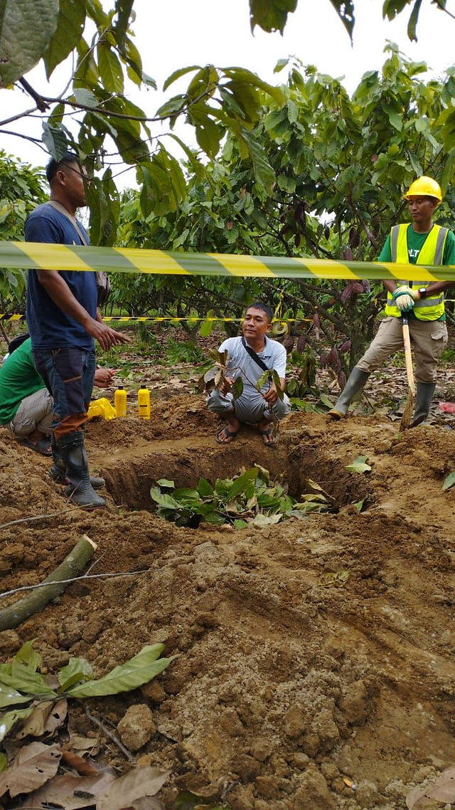 Producers enthusiastically observe the biochar production process, with the finished biochar and POC—reflecting their strong interest in sustainable agricultural innovations in TRANSFORM: Bestari project - Koltiva.com