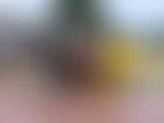 Koltiva team arrives in Sierra Leone to begin field-based agent training - Koltiva.com