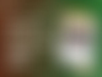 Vietnam’s Coffee Sector Must Bridge Data Gaps to Sustain EU Market Access