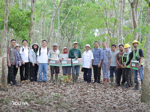 เสริมพลังให้เกษตรกรยางพารา 2,767 ราย: บทบาทของ KOLTIVA ในโครงการ GAP ร่วมกับ GPSNR, Goodyear, General Motors และ Kirana Megatara