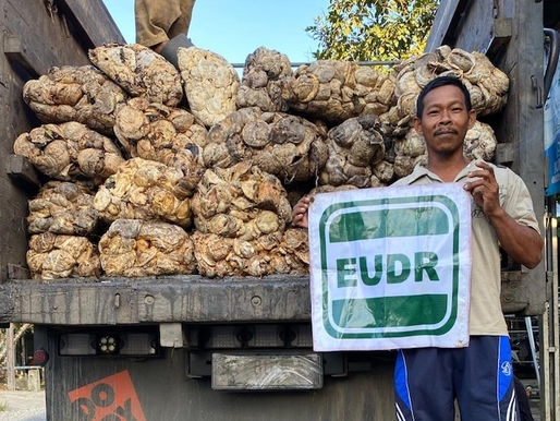Only 12% of Downstream Firms have Traceability Systems in Place, KOLTIVA Urges Inclusive Segregation to Prevent Smallholder Exclusion