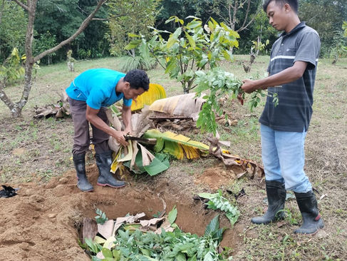 Producers enthusiastically observe the biochar production process, with the finished biochar and POC—reflecting their strong interest in sustainable agricultural innovations in TRANSFORM: Bestari project - Koltiva.com