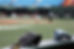 Baseball Field Scene