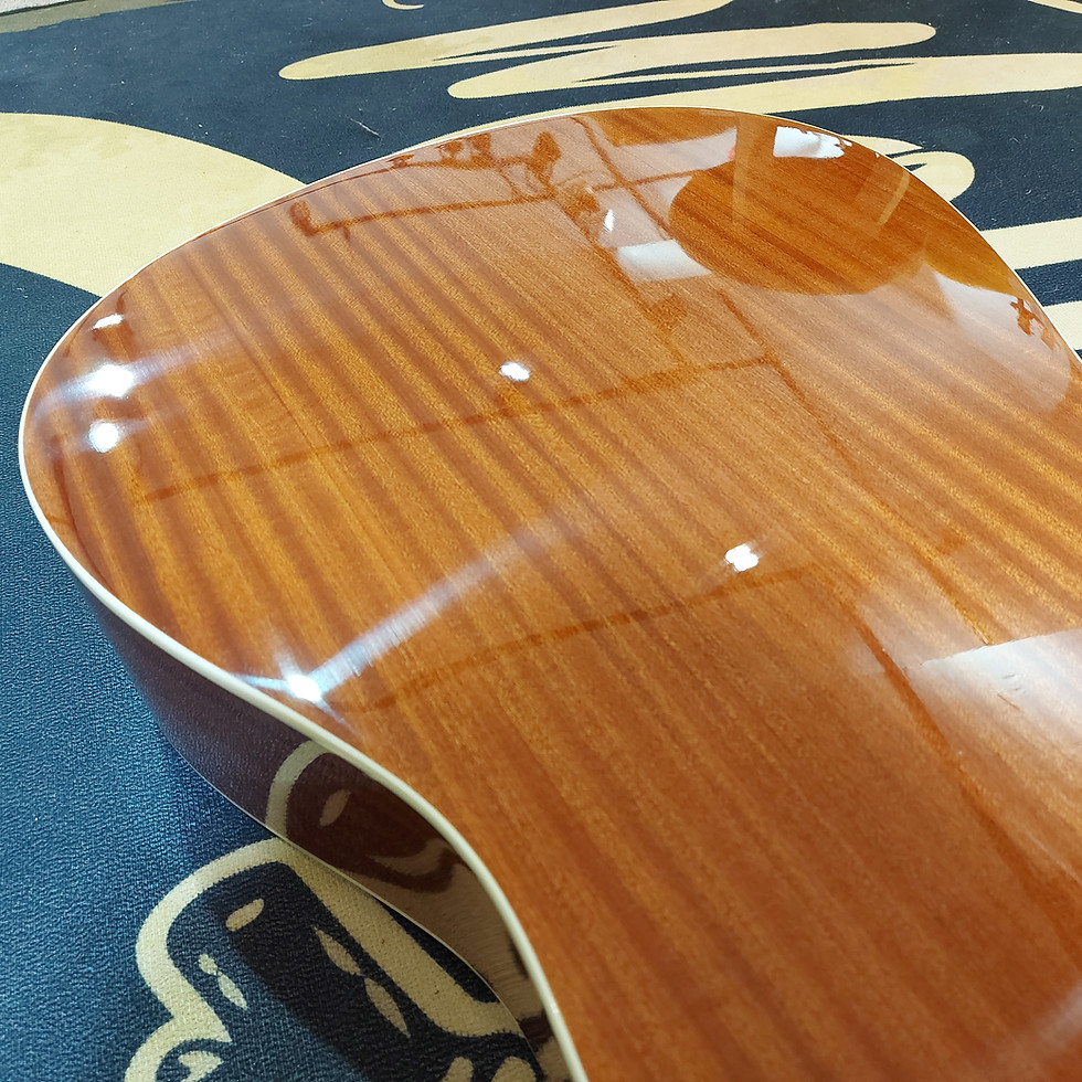 縮圖：Gavial Guitar G13