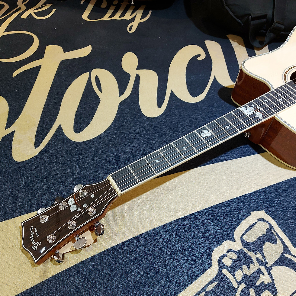 縮圖：Gavial Guitar G13