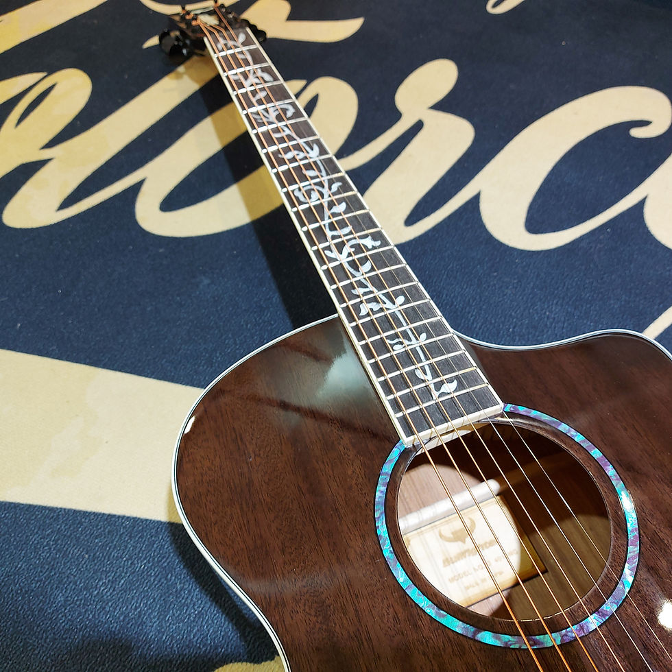 縮圖：BullFighter Guitar 4013