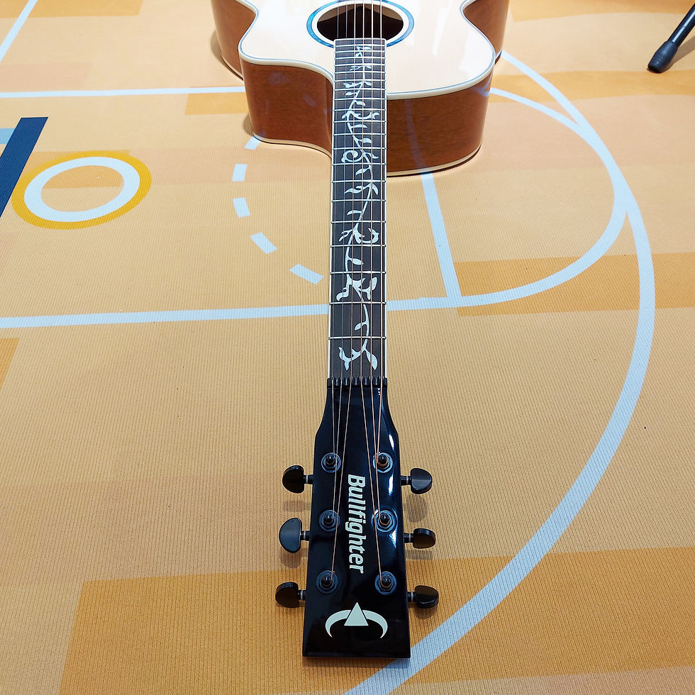 縮圖：BullFighter Guitar 4013