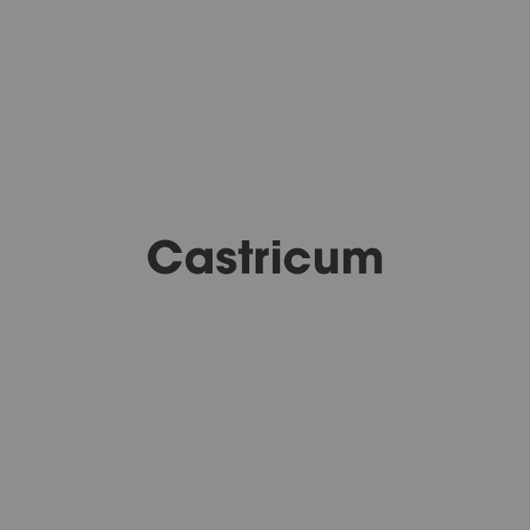 Castricum