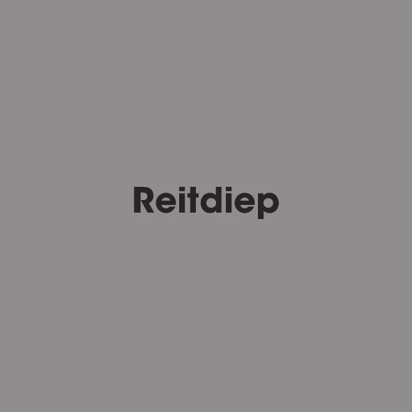 Reitdiep